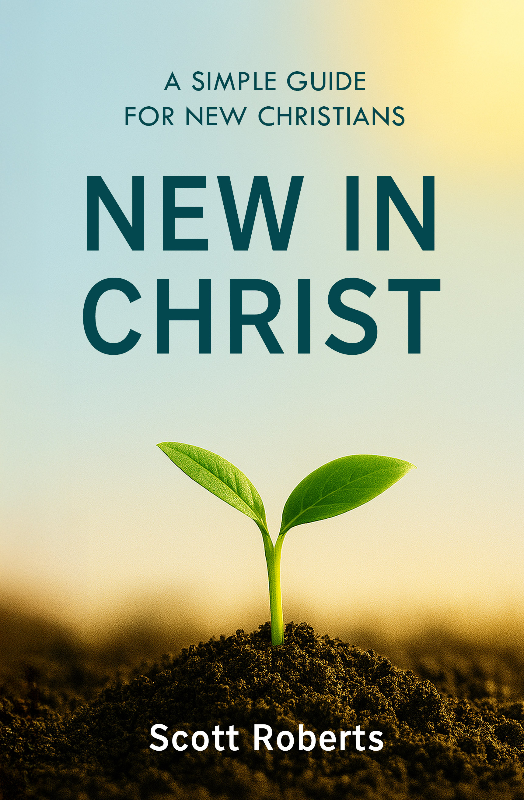 New in Christ Book Cover